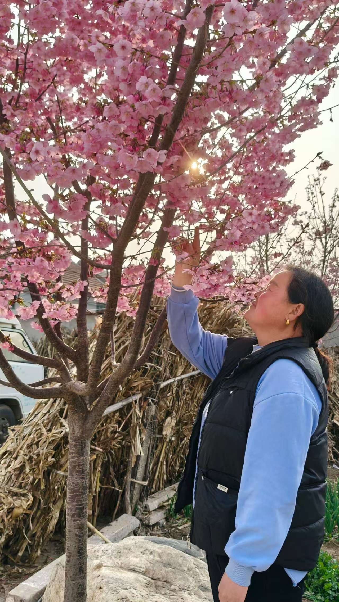 照片8